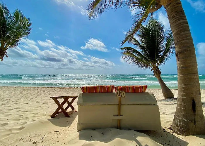 The 5*